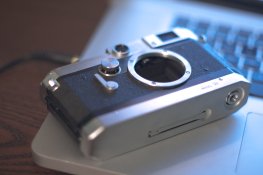 IMG_7891.jpg