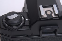 IMG_7475.jpg
