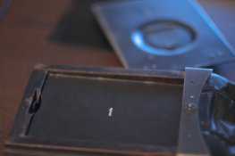 IMG_7880.jpg
