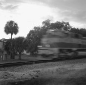 a shot 11 for apug.jpg