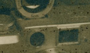Cyanotypes003-2.JPG