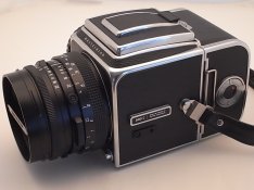 R1105856.JPG