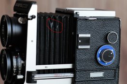 _MG_8091.jpg