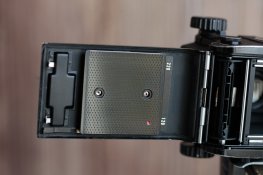 _MG_8098.jpg