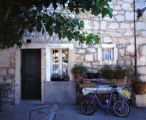 Velvia50_2_Epsonscan.JPG
