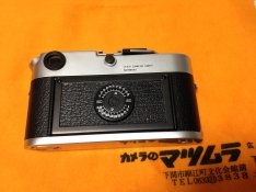 IMG_2733.jpg