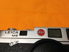 IMG_2736.jpg