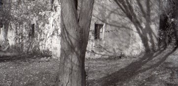 barn-kodak.jpg
