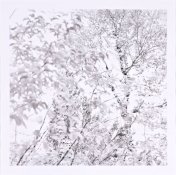 0718_1_lg.jpg