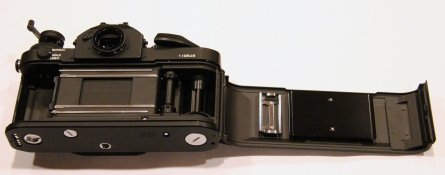 New F1 -003.jpg