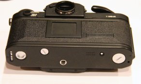 New F1 -004.jpg
