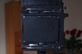 IMGP6483.jpg