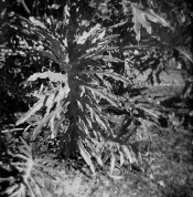 Shot3cropped2_zps48e3a447.jpg