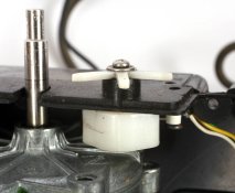 reversal orientation.jpg