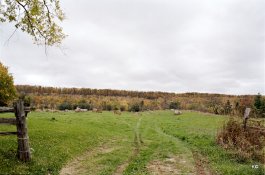 SCAN010.JPG