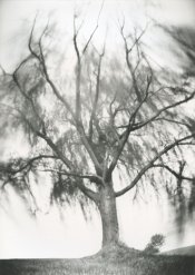 CP0004.jpg