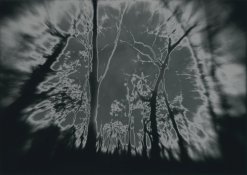 CP0008.jpg