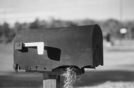 12 25 ISO Red Fltr.jpg