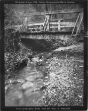 Old Broken Bridge, 2014.jpg