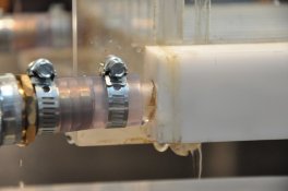 DSC_0227 (800x531).jpg