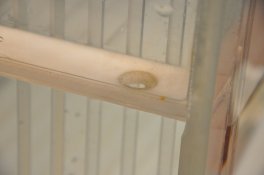 DSC_0229 (800x531).jpg