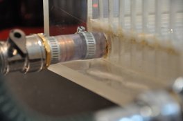 DSC_0230 (800x531).jpg