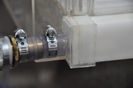 DSC_0231 (800x531).jpg