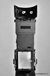 4-Back B&W.jpg