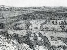 la-crau-seen-from-montmajour-1888.jpg