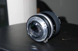 IMGP9831lo res.jpg