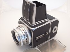 R1106087.JPG