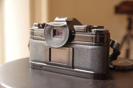 IMGP9484.jpg
