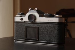 IMGP9446.jpg