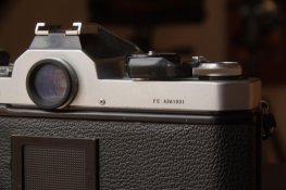 IMGP9450.jpg