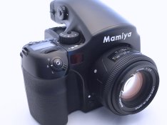R1105505.JPG