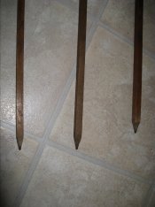 wt4.JPG