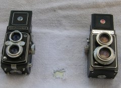 TLRs_FRONT1.jpg
