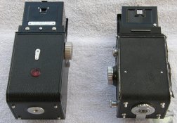 TLRs_BACK3.jpg