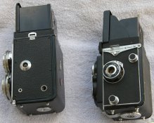 TLRs_SIDE2.jpg