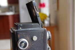 IMGP9602.jpg