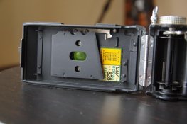IMGP9603.jpg