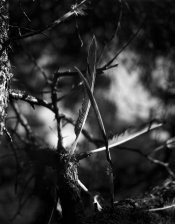 Random events #5_Lo.jpg