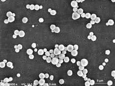 Electron  micrograph - BrI SRAD.jpg