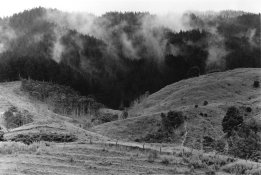 Scan-090122-0002-1.jpg