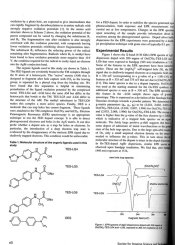 2 electron 2.jpg