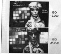ISO 24000.jpg