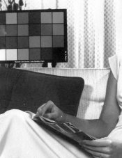 print portion of portrait.jpg