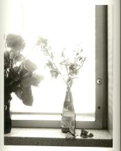 flowers.jpg