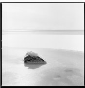 Stony-Point-12.jpg