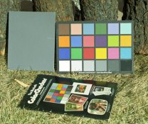 Portra-160NC-Fe-EDTA-bleach.jpg